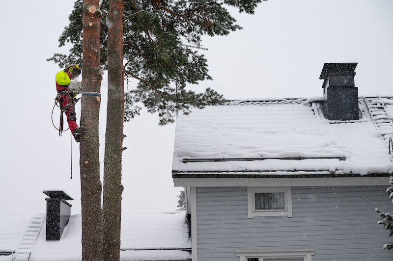 Puunkaato meneillään talvella Mäntsälässä
